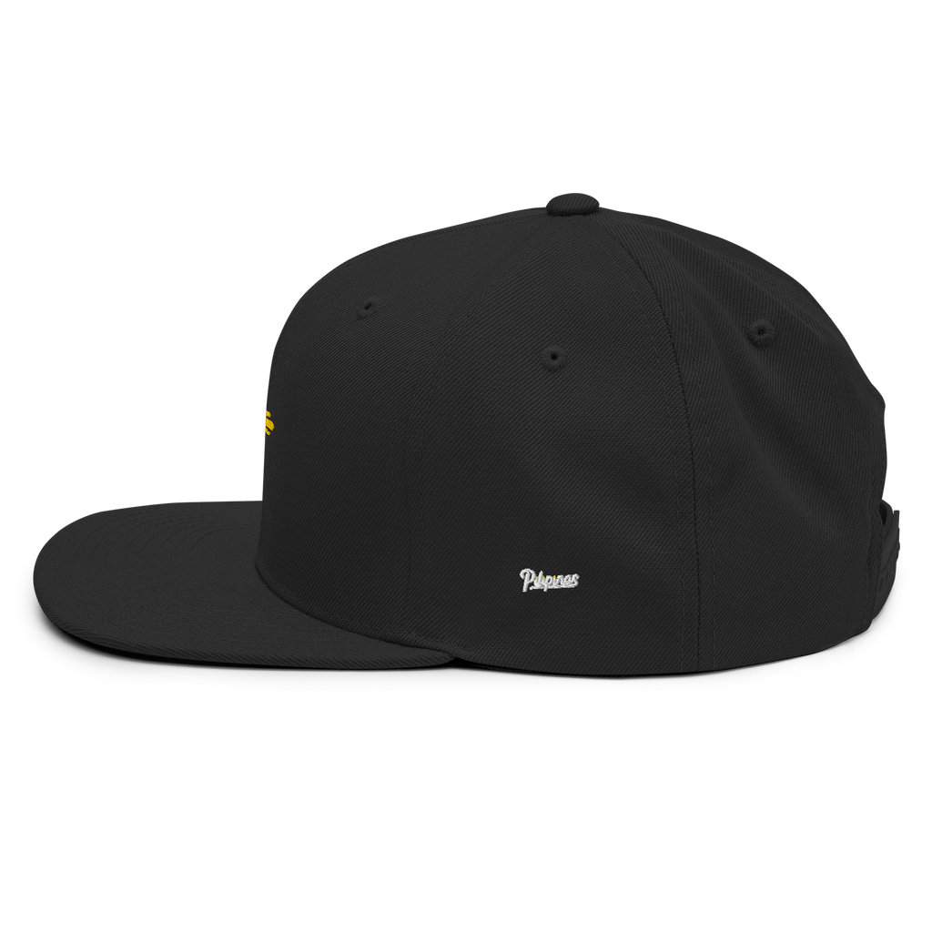 SUN + SCRIPT - wool blend flat bill hat - Black