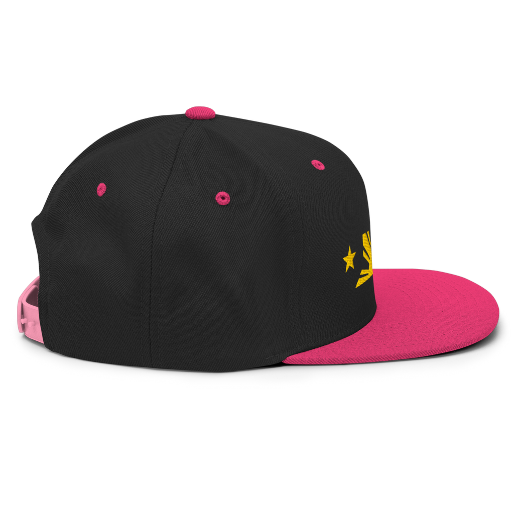 Three Stars & Half-Sun + Script - wool blend flat bill hat - Natural/Black