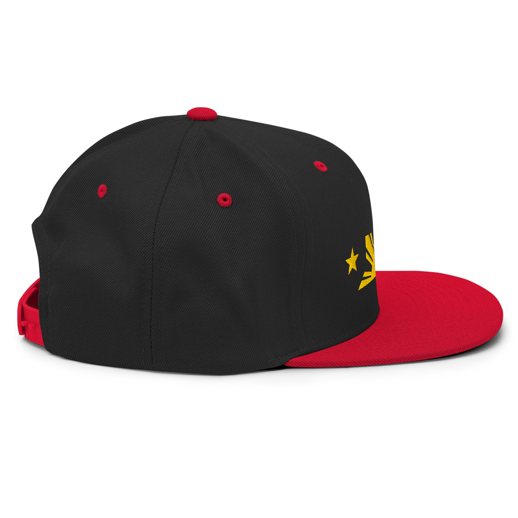 Three Stars & Half-Sun + Script - wool blend flat bill hat - Natural/Black