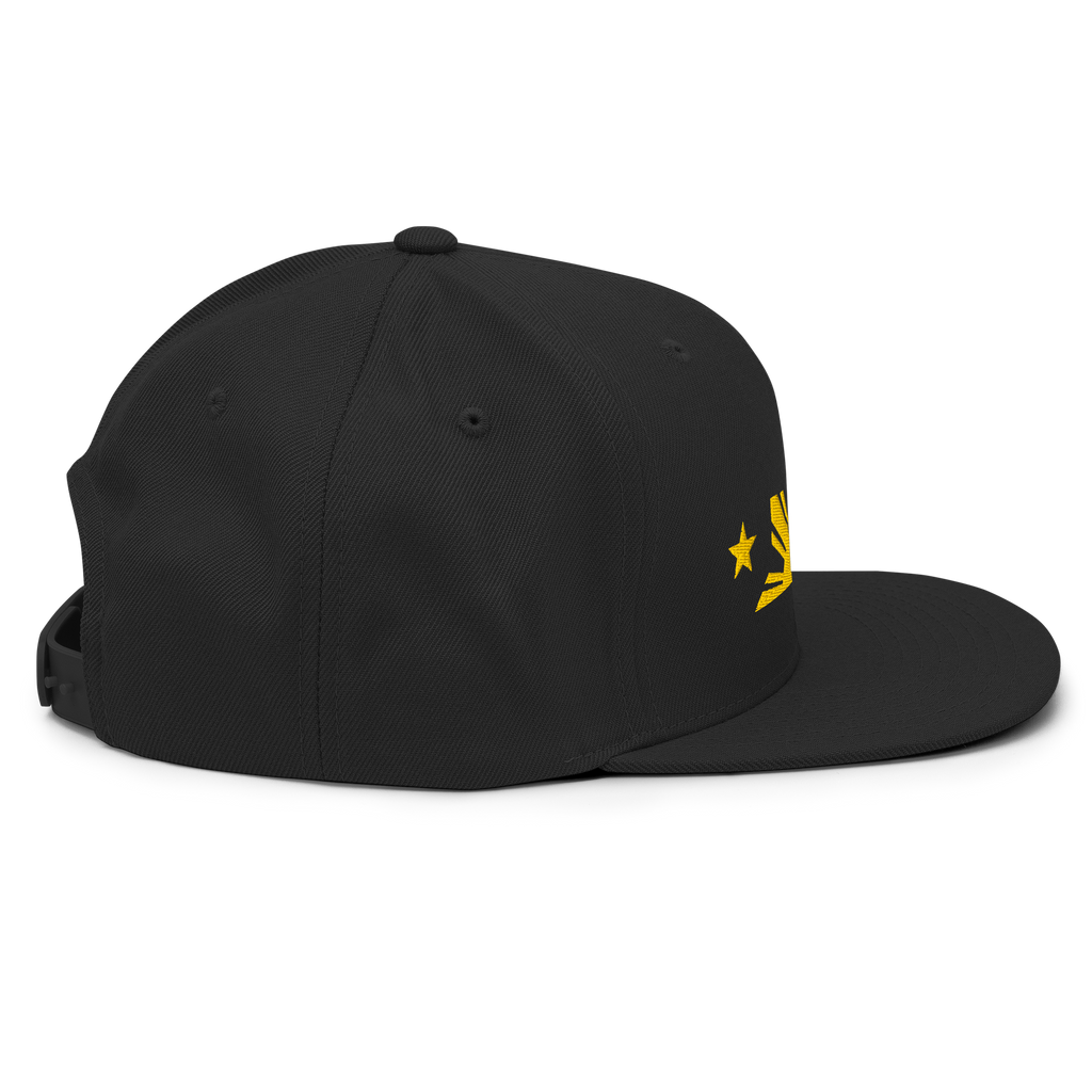 Three Stars & Half-Sun + Script - wool blend flat bill hat - Silver
