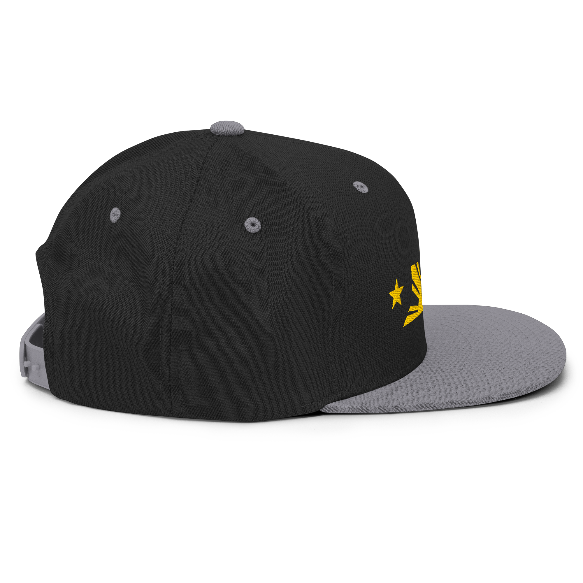 Three Stars & Half-Sun + Script - wool blend flat bill hat - Silver