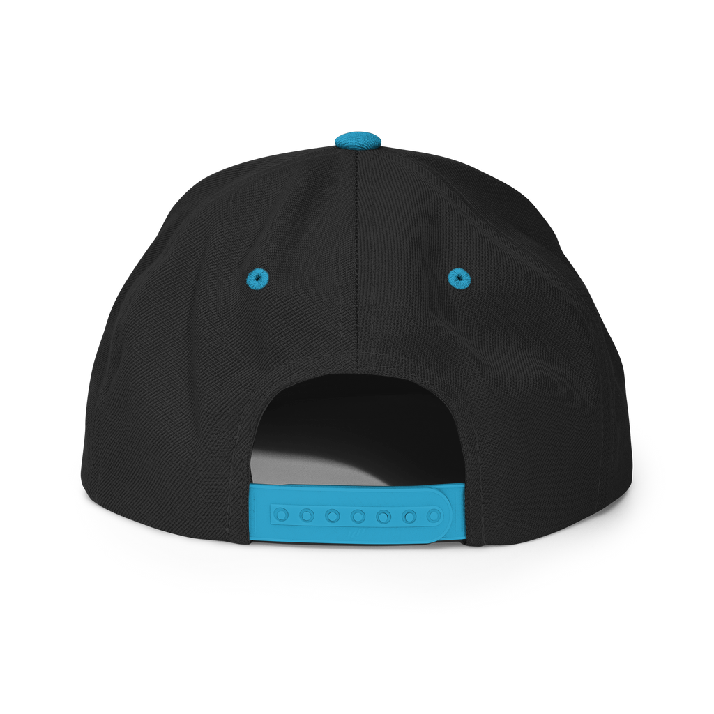 Three Stars & Half-Sun + Script - wool blend flat bill hat - Natural/Black