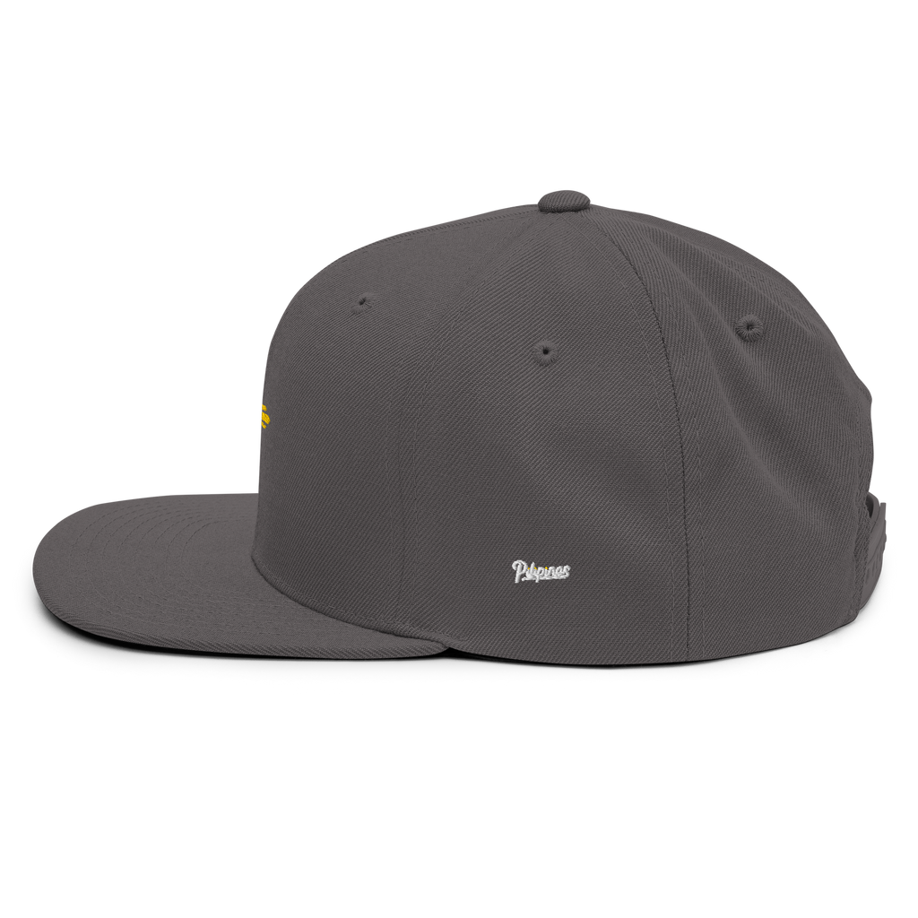 SUN + SCRIPT - wool blend flat bill hat - Black