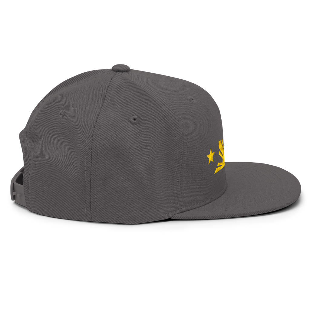 Three Stars & Half-Sun + Script - wool blend flat bill hat - Black