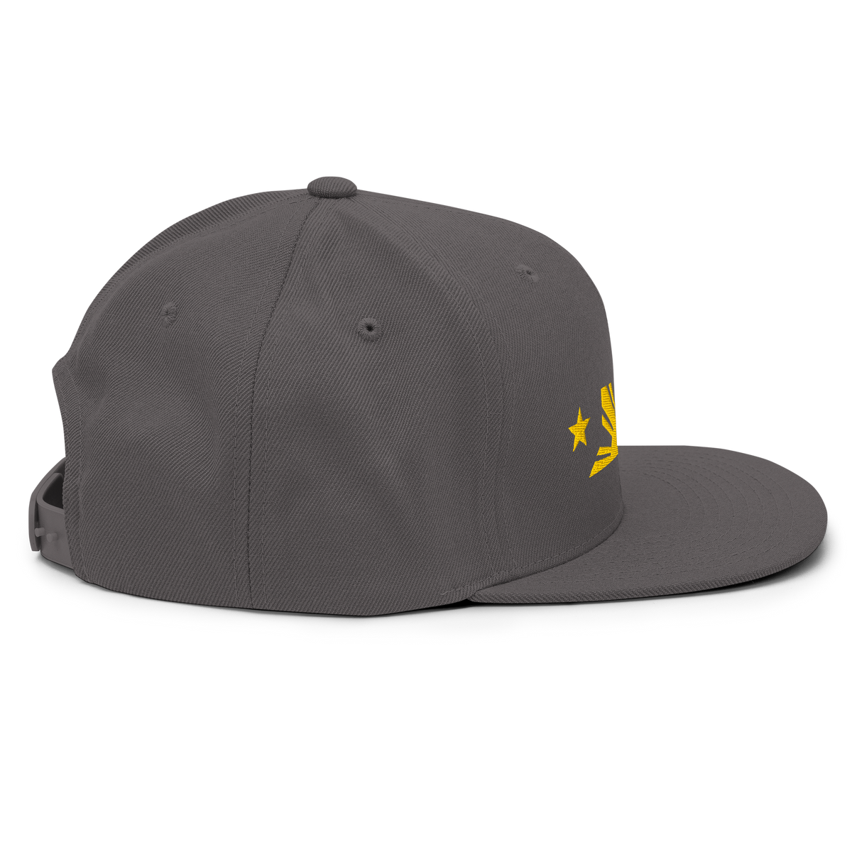 Three Stars & Half-Sun + Script - wool blend flat bill hat - Black/Silver
