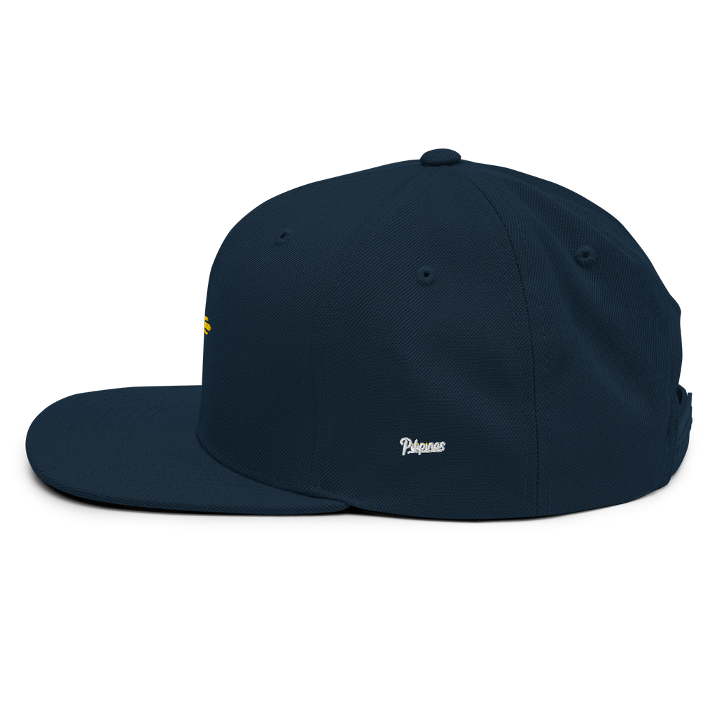 SUN + SCRIPT - wool blend flat bill hat - Black