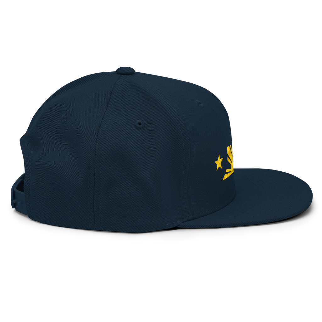 Three Stars & Half-Sun + Script - wool blend flat bill hat - Black/Silver