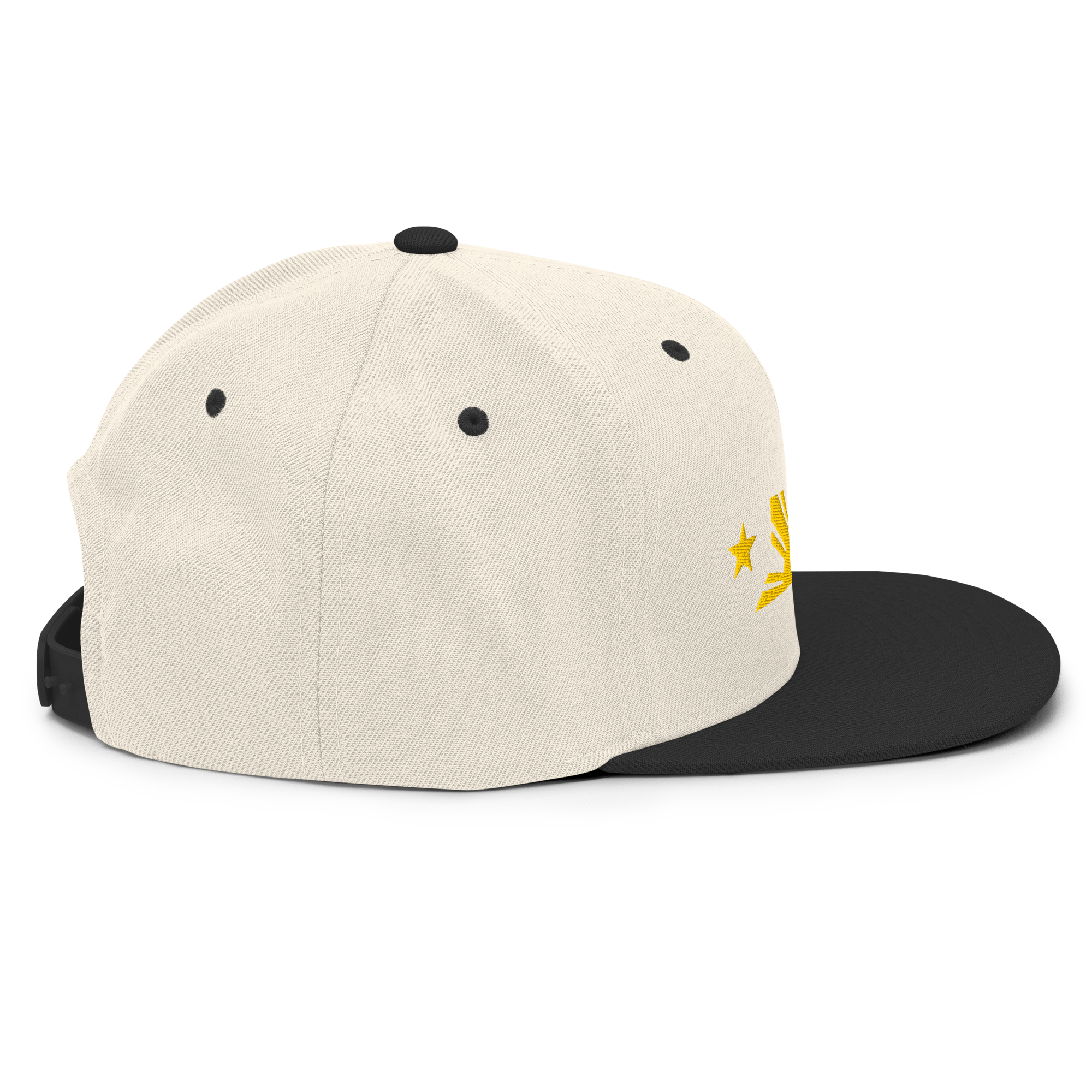 Three Stars & Half-Sun + Script - wool blend flat bill hat - Black
