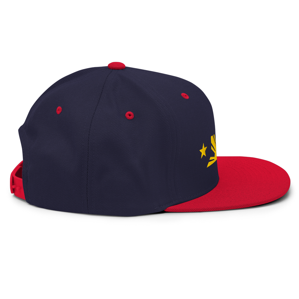 Three Stars & Half-Sun + Script - wool blend flat bill hat - Natural/Black