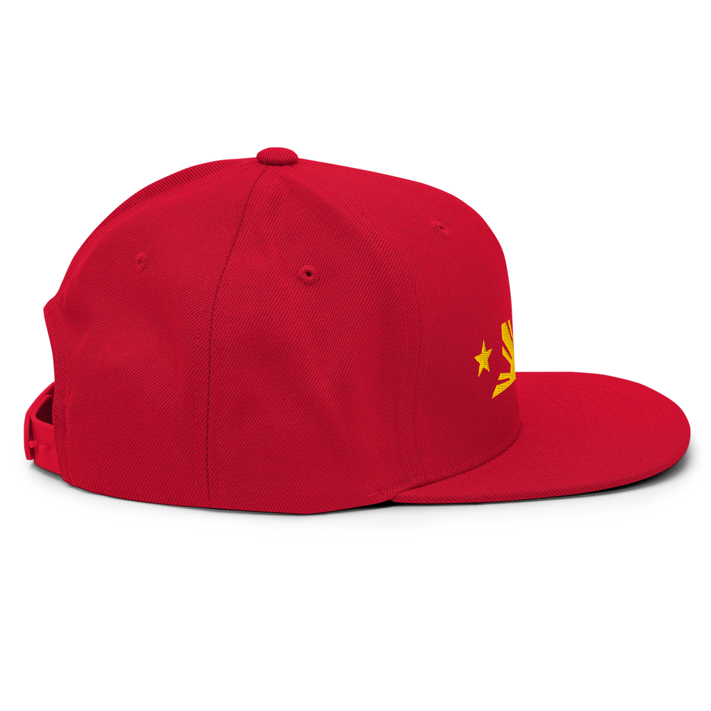 Three Stars & Half-Sun + Script - wool blend flat bill hat - Silver