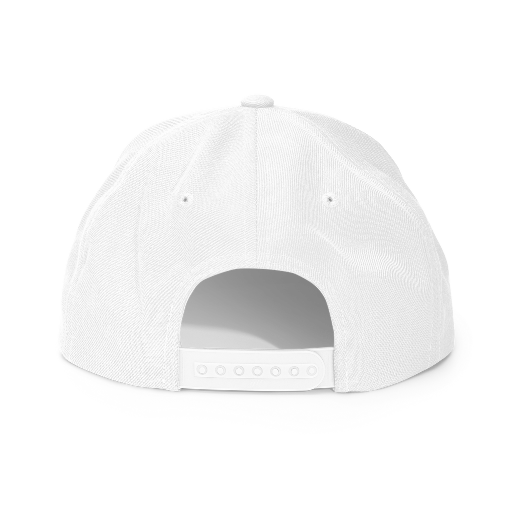 SUN + SCRIPT - wool blend flat bill hat - Black
