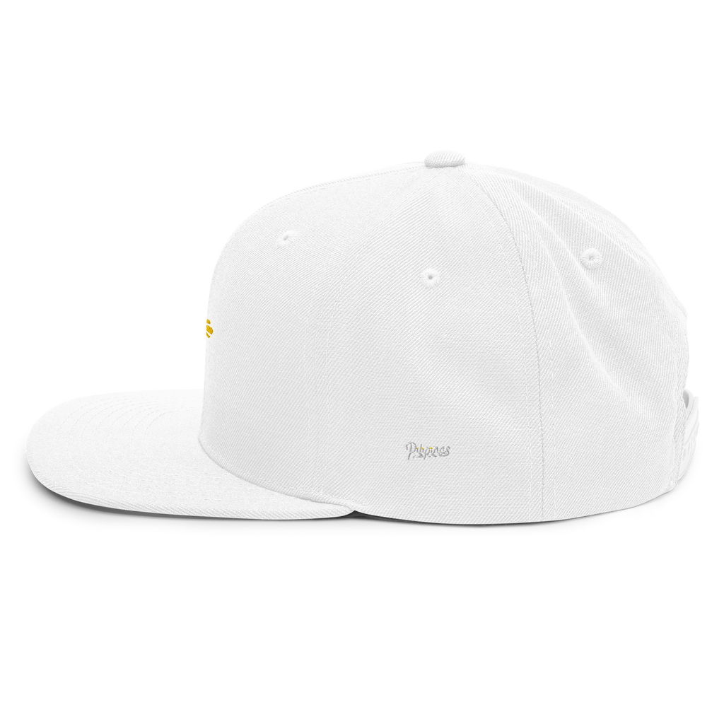 SUN + SCRIPT - wool blend flat bill hat - Black