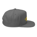 Three Stars & Half-Sun + Script - cotton flat bill hat - Grey