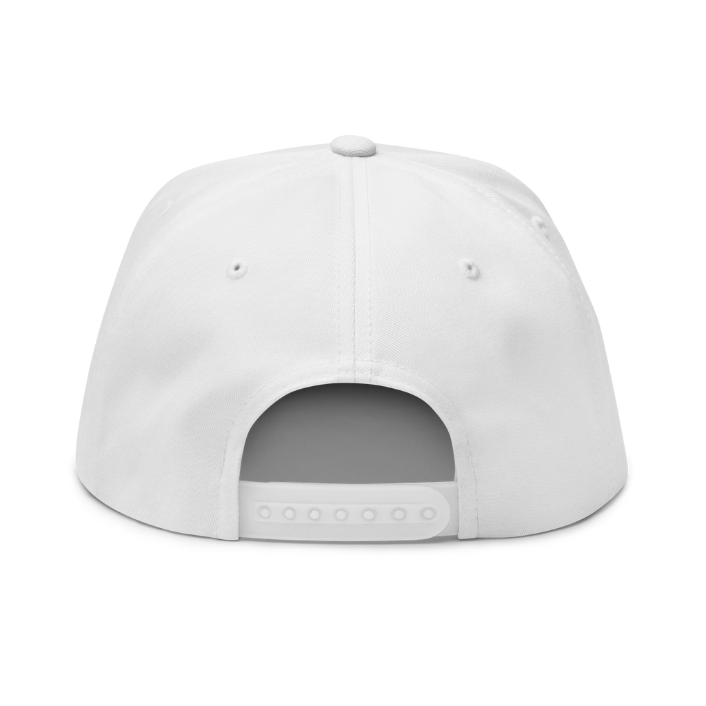 Three Stars & Half-Sun + Script - cotton flat bill hat - Grey
