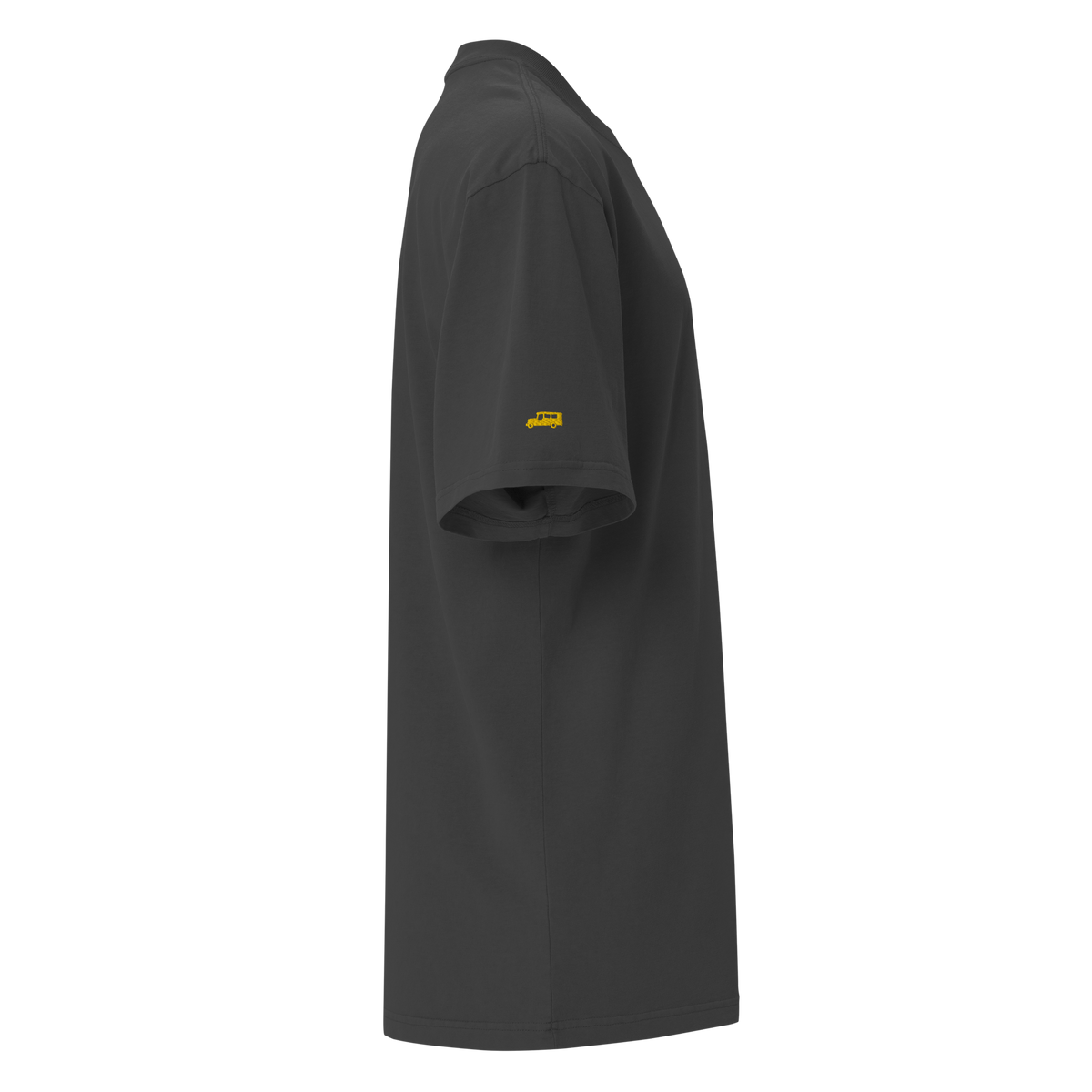 MODERN SCRIPT + SUN + JEEPNEY Oversized Tee - Eucalyptus